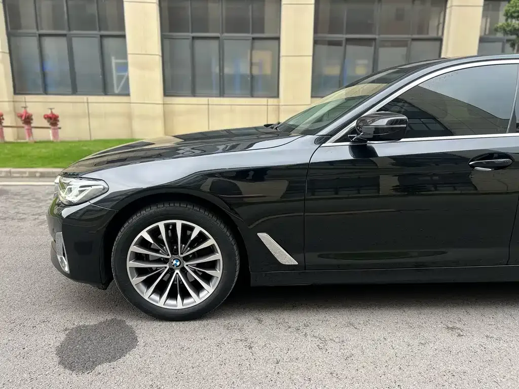 BMW 5 Series 2021 из CN, фото 6