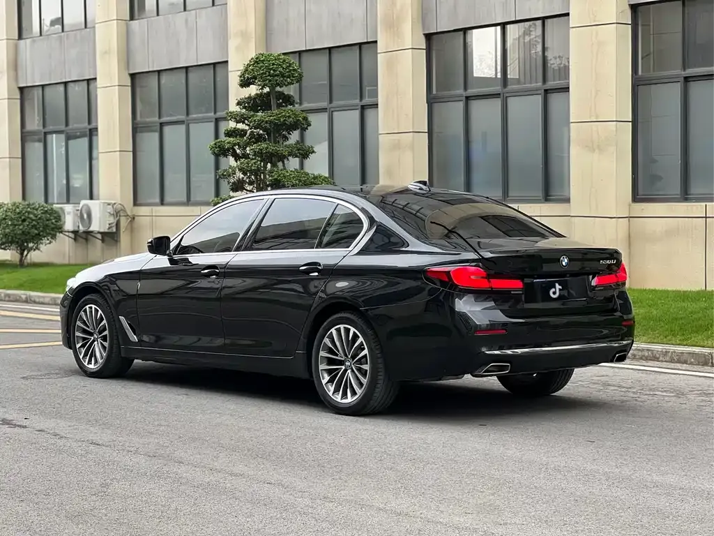 BMW 5 Series 2021 из CN, фото 7