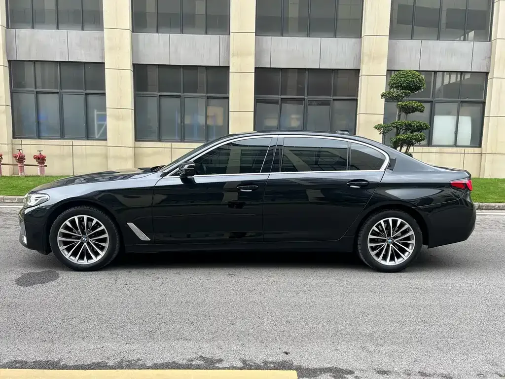 BMW 5 Series 2021 из CN, фото 10