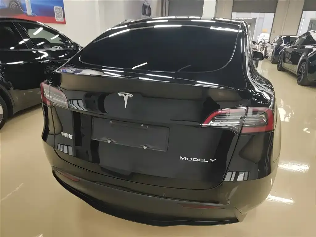 Tesla Model Y — фото 3