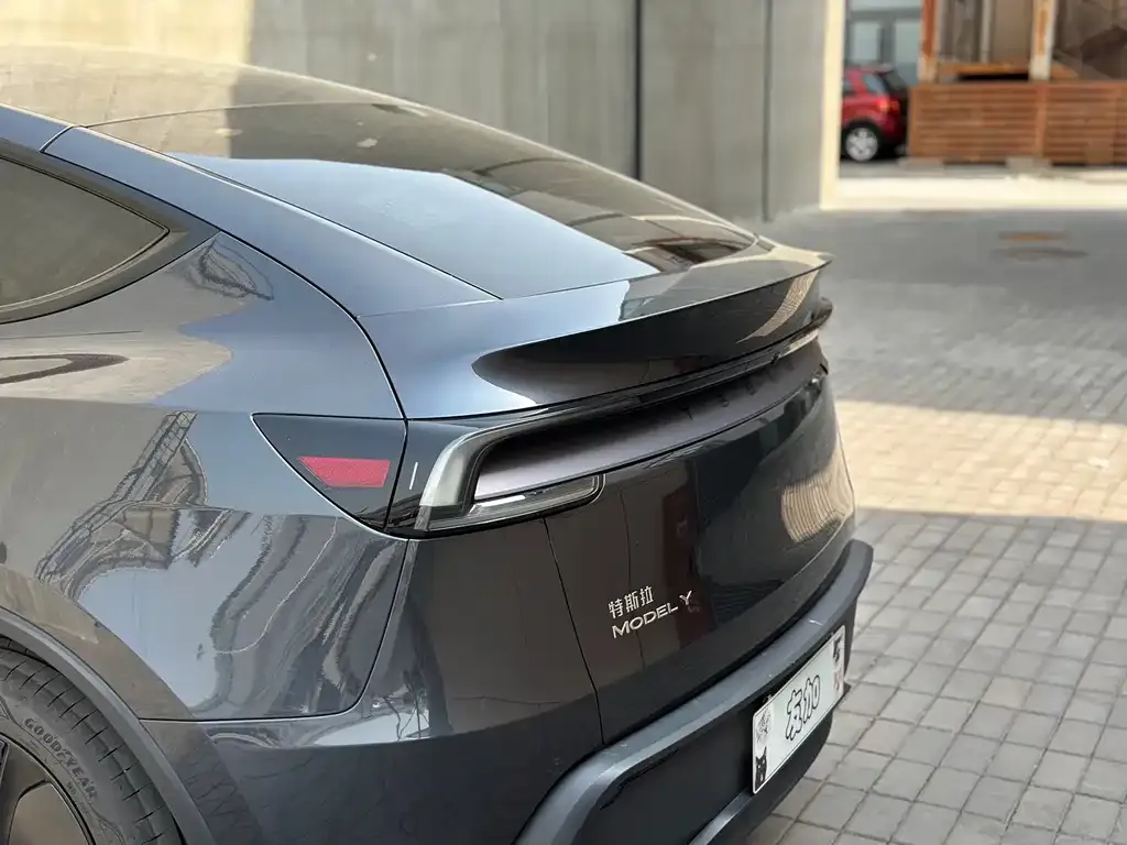 Tesla Model Y — фото 3