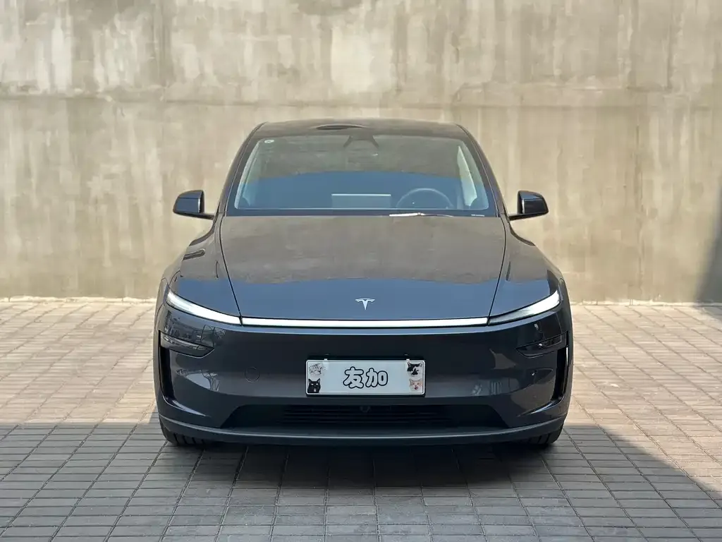 Tesla Model Y — фото 8