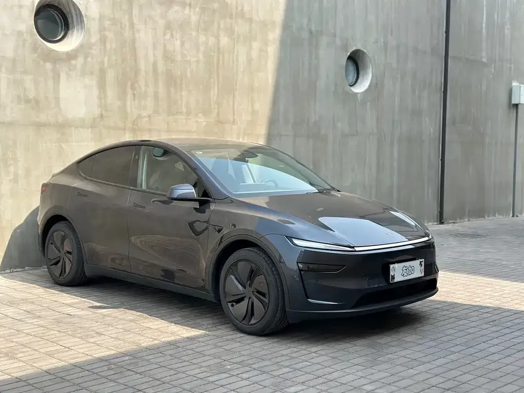Tesla Model Y — фото 5