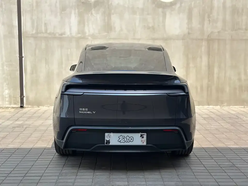 Tesla Model Y — фото 9