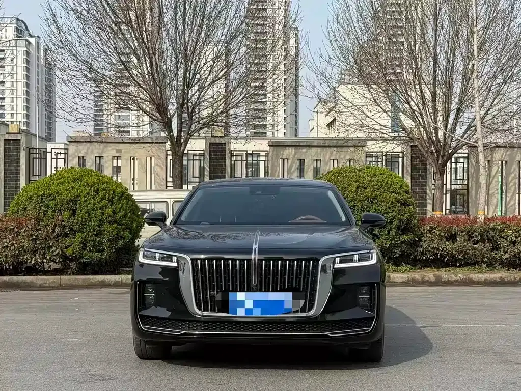 Hongqi H9 2021 из CN, фото 8