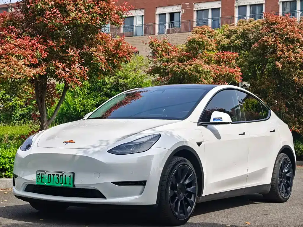 Tesla Model Y — фото 1
