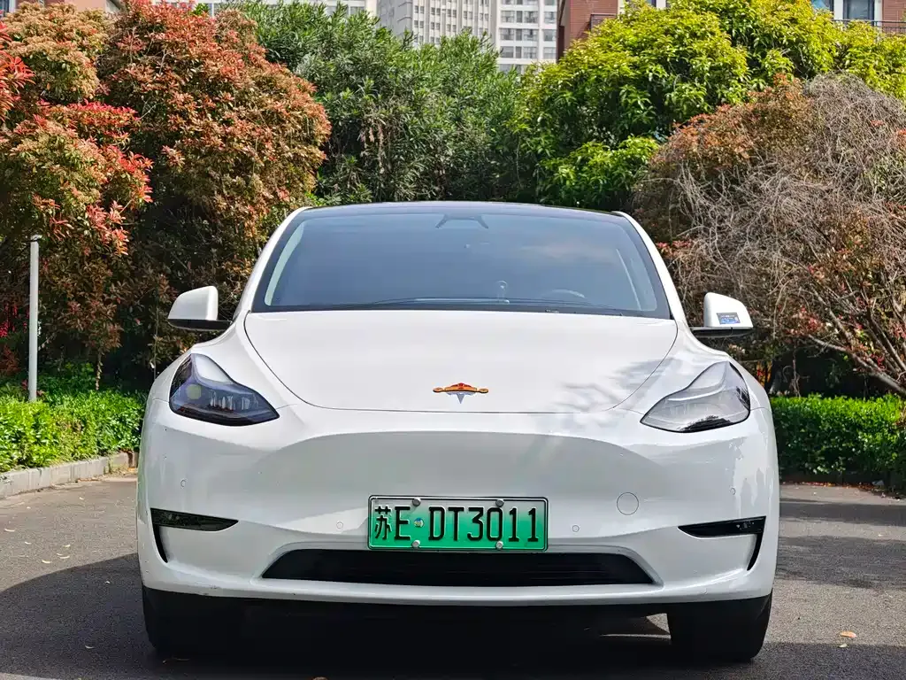 Tesla Model Y — фото 7