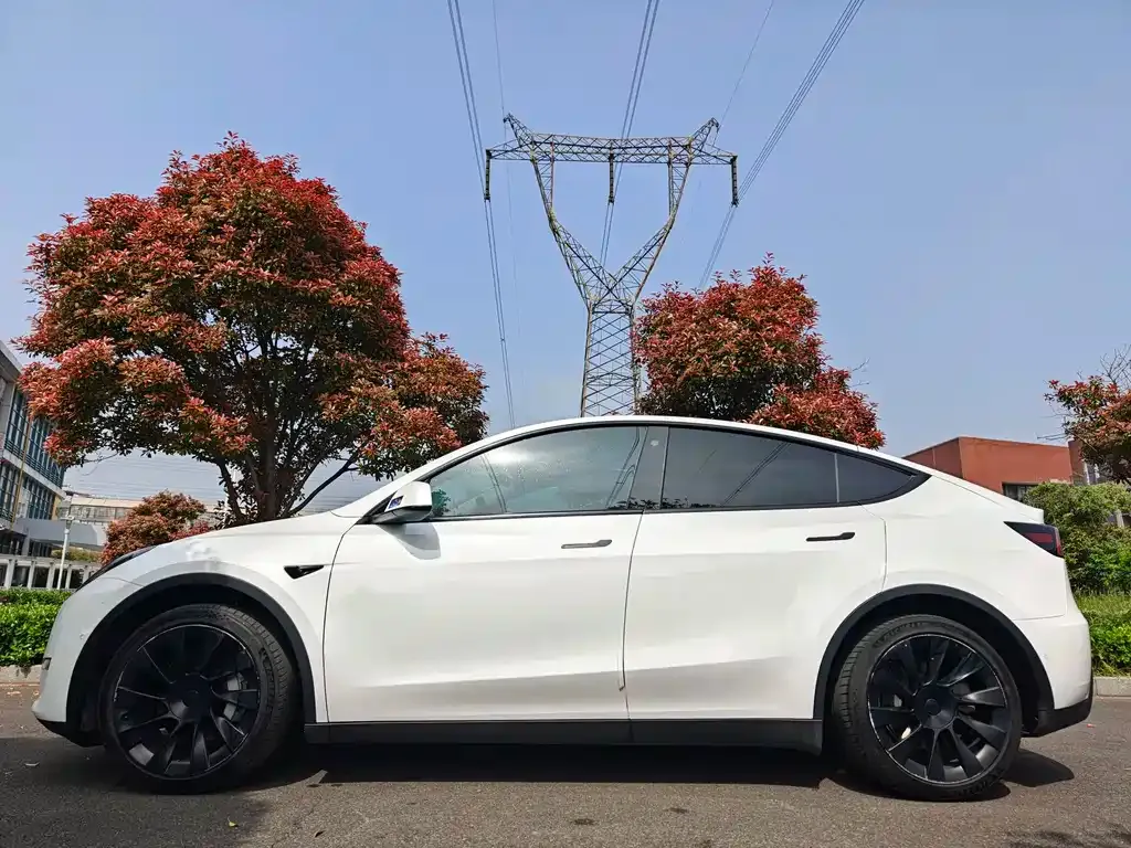 Tesla Model Y — фото 8