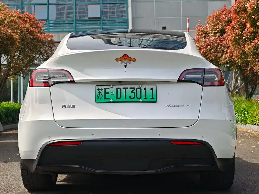 Tesla Model Y — фото 2
