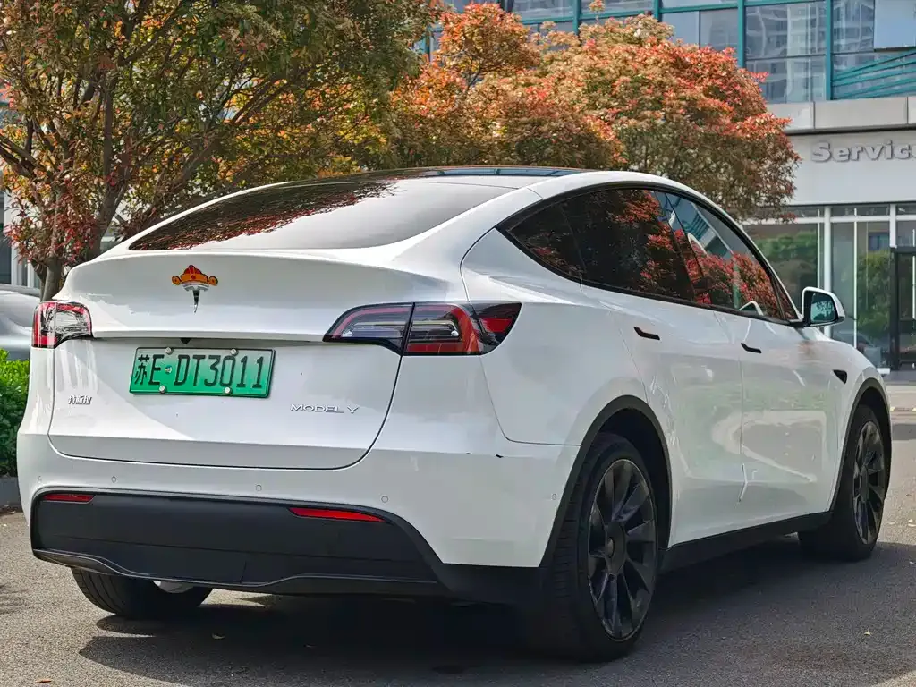 Tesla Model Y — фото 6