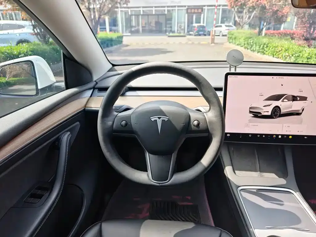 Tesla Model Y — фото 3