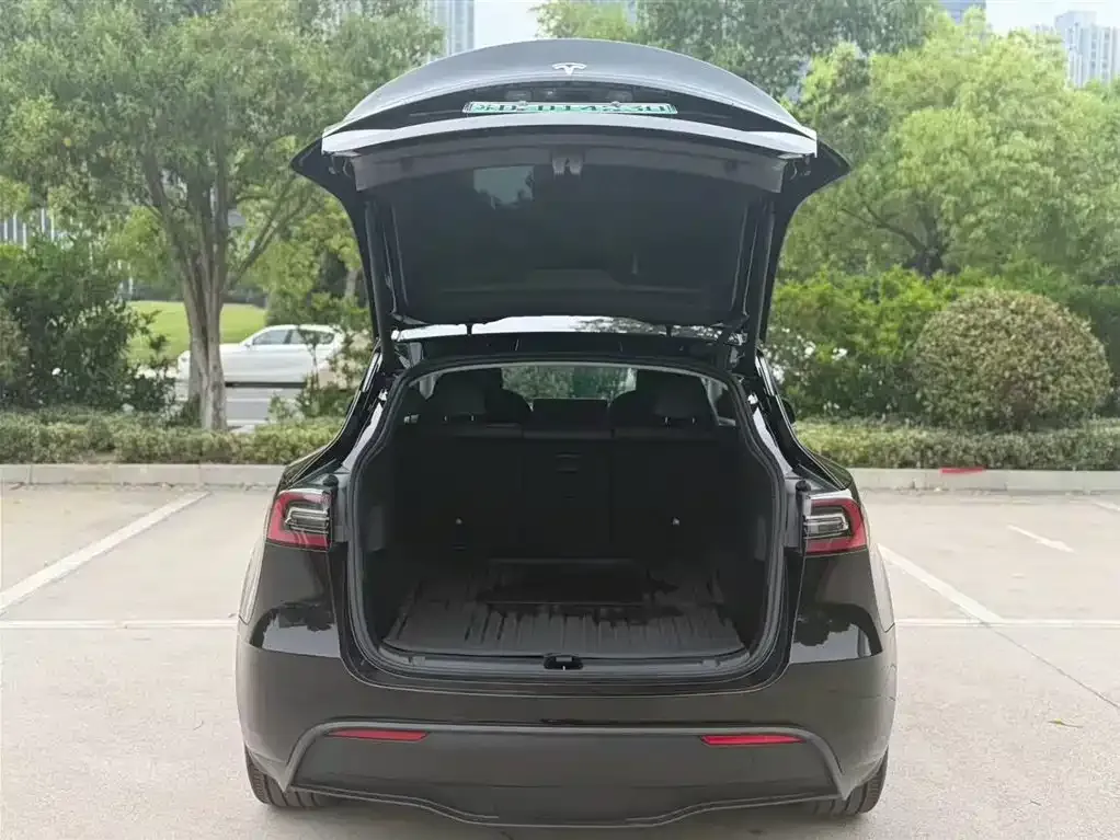 Tesla Model Y — фото 5