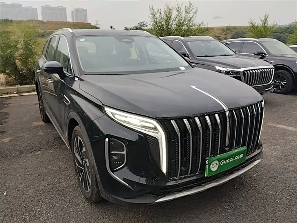 Hongqi HS7 PHEV — фото 6