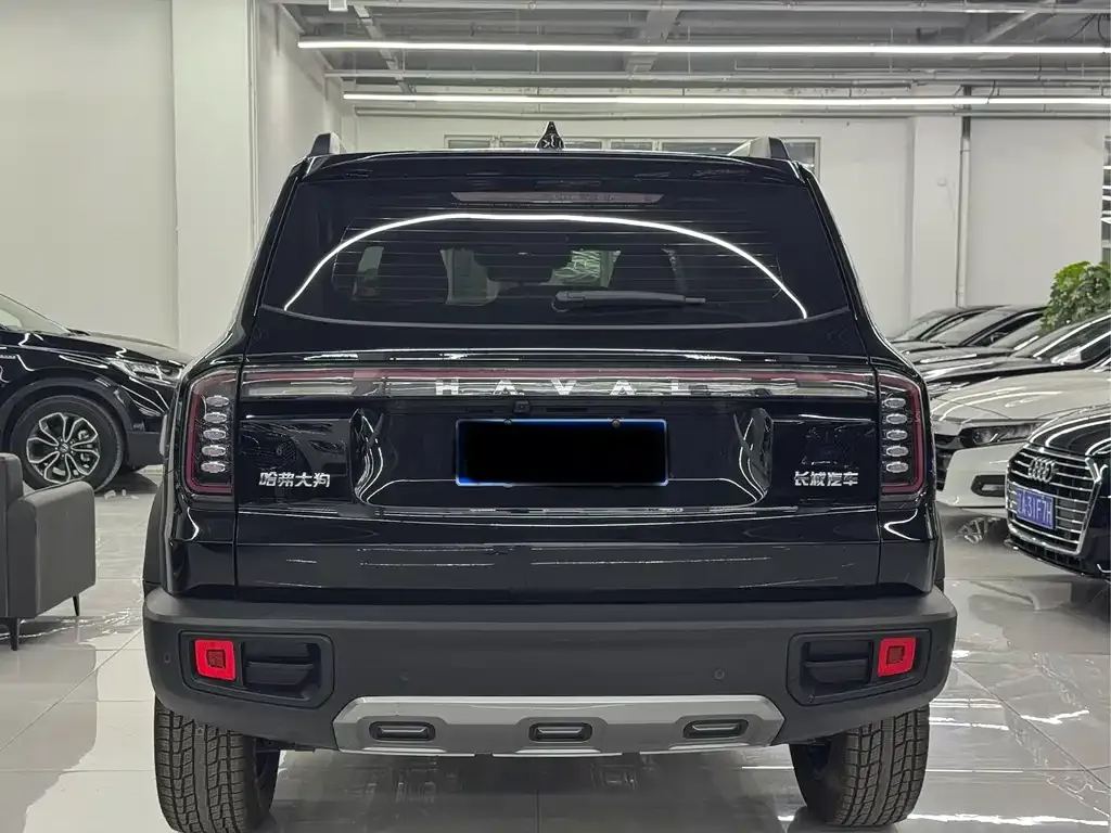 Haval Big Dog 2025 из CN, фото 9