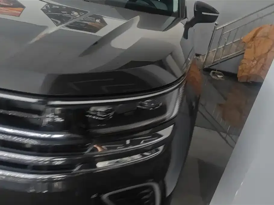 Volkswagen Tavendor 2023 из CN, фото 6