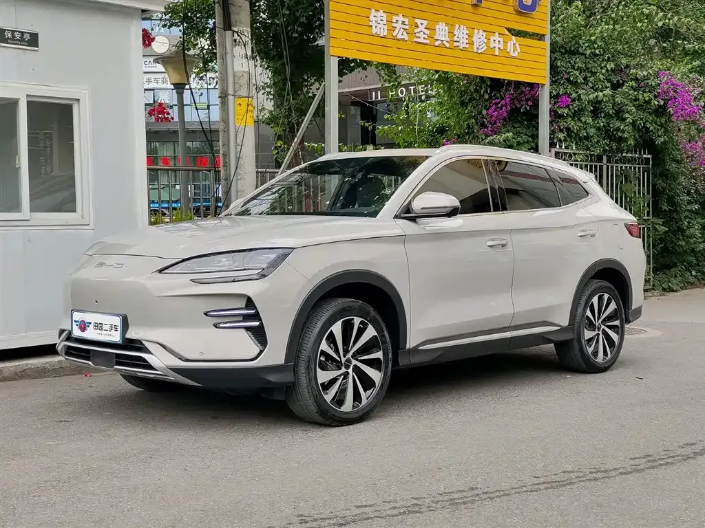 BYD PLUS New Energy — фото 1