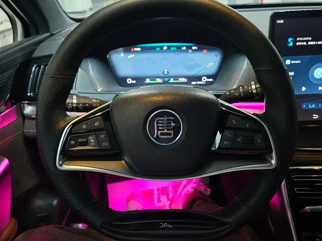 BYD Tang New Energy 2024 из CN, фото 6