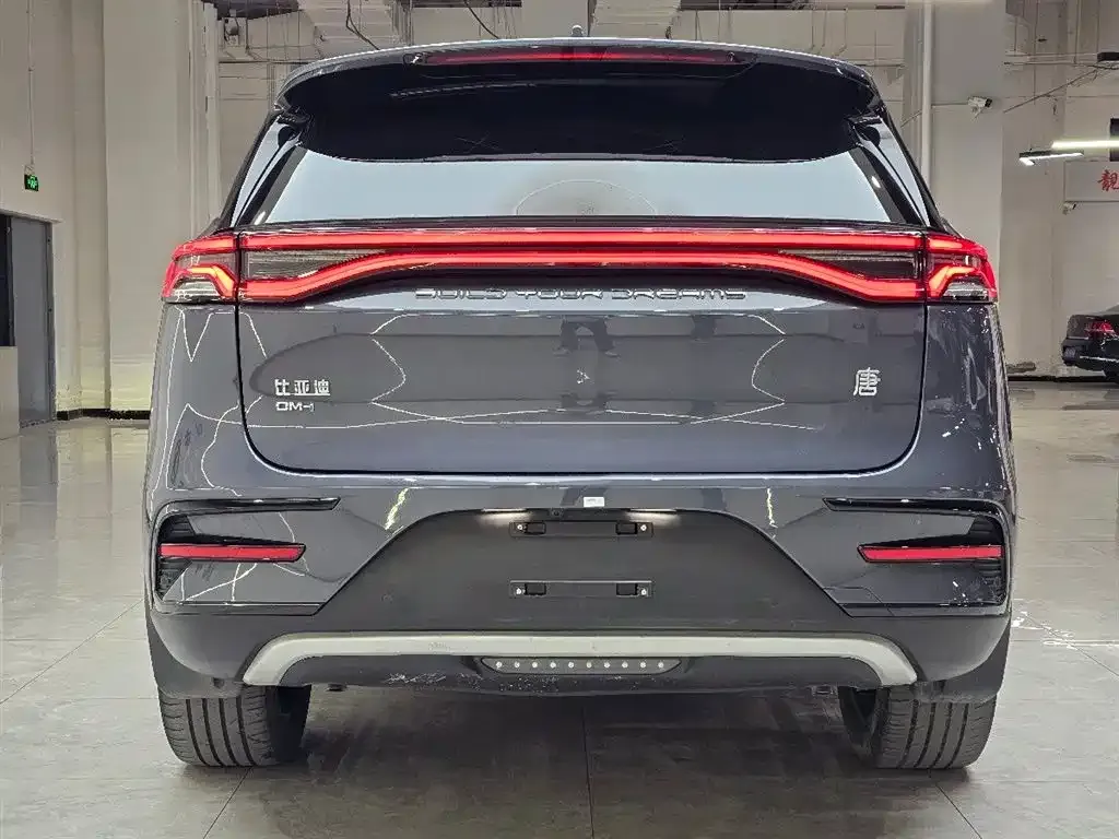 BYD Tang New Energy 2024 из CN, фото 8