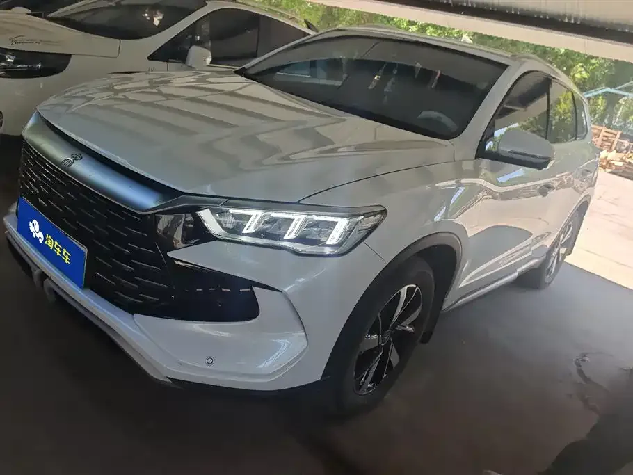BYD Pro New Energy 2024 из CN, фото 1