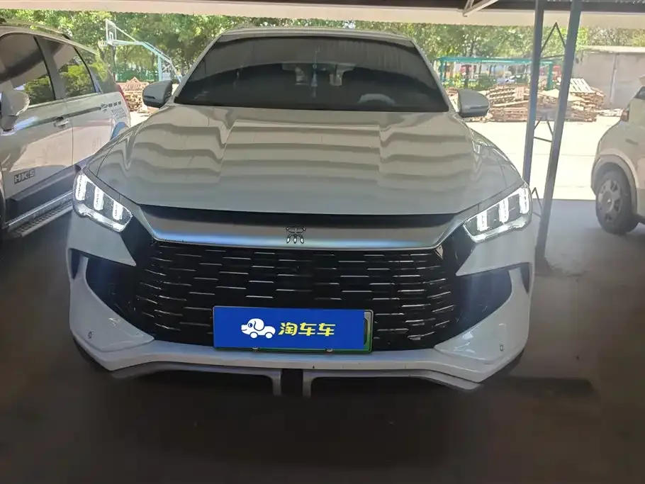 BYD Pro New Energy 2024 из CN, фото 8