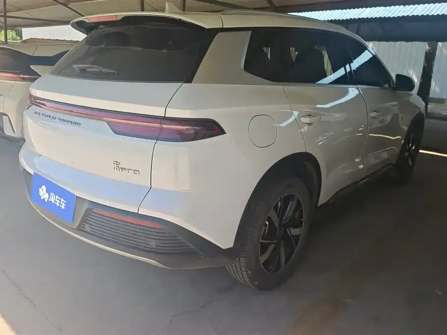BYD Pro New Energy 2024 из CN, фото 5