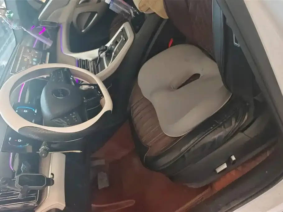 BYD Pro New Energy 2024 из CN, фото 2