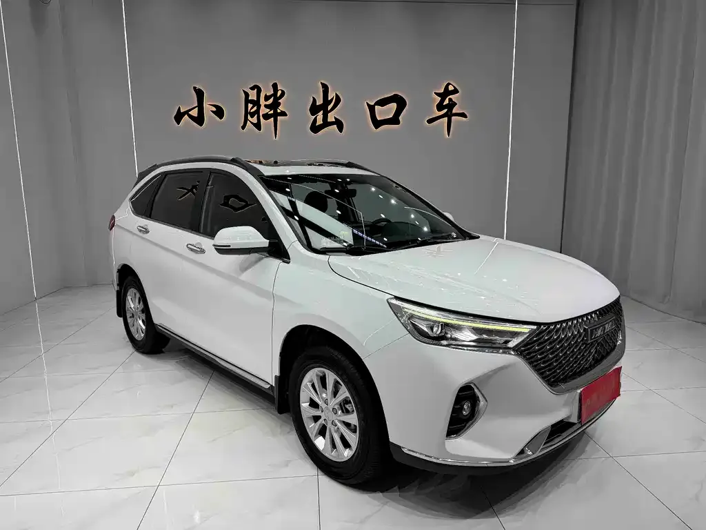 Haval M6 2021 из CN, фото 8