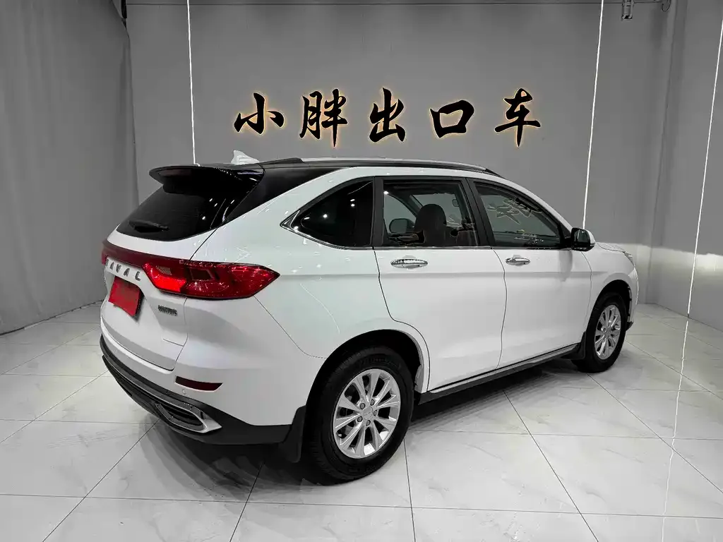 Haval M6 2021 из CN, фото 2