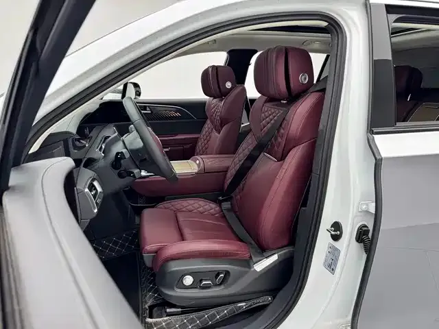 Hongqi E-HS9 2023 из CN, фото 7