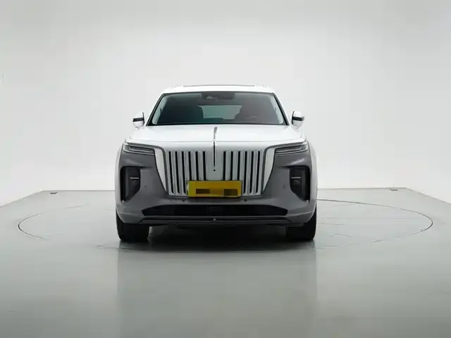 Hongqi E-HS9 2023 из CN, фото 2