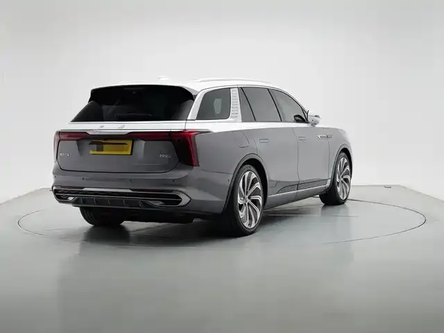 Hongqi E-HS9 2023 из CN, фото 4