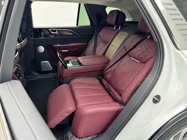 Hongqi E-HS9 2023 из CN, фото 8