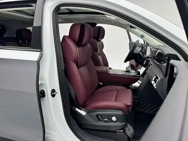 Hongqi E-HS9 2023 из CN, фото 6