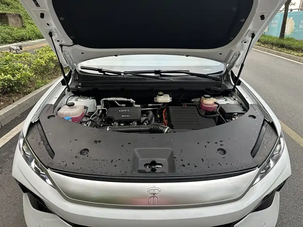 BYD Pro New Energy — фото 7