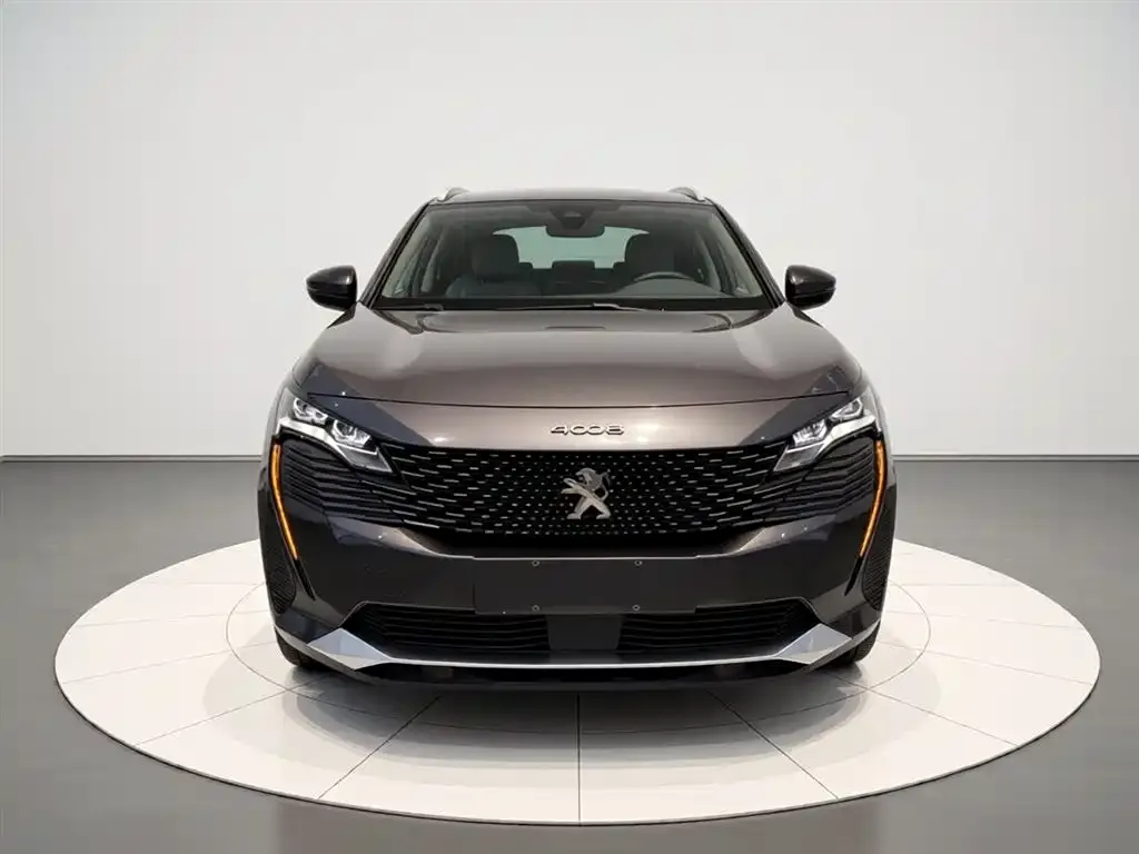 Peugeot 4008 2021 из CN, фото 6