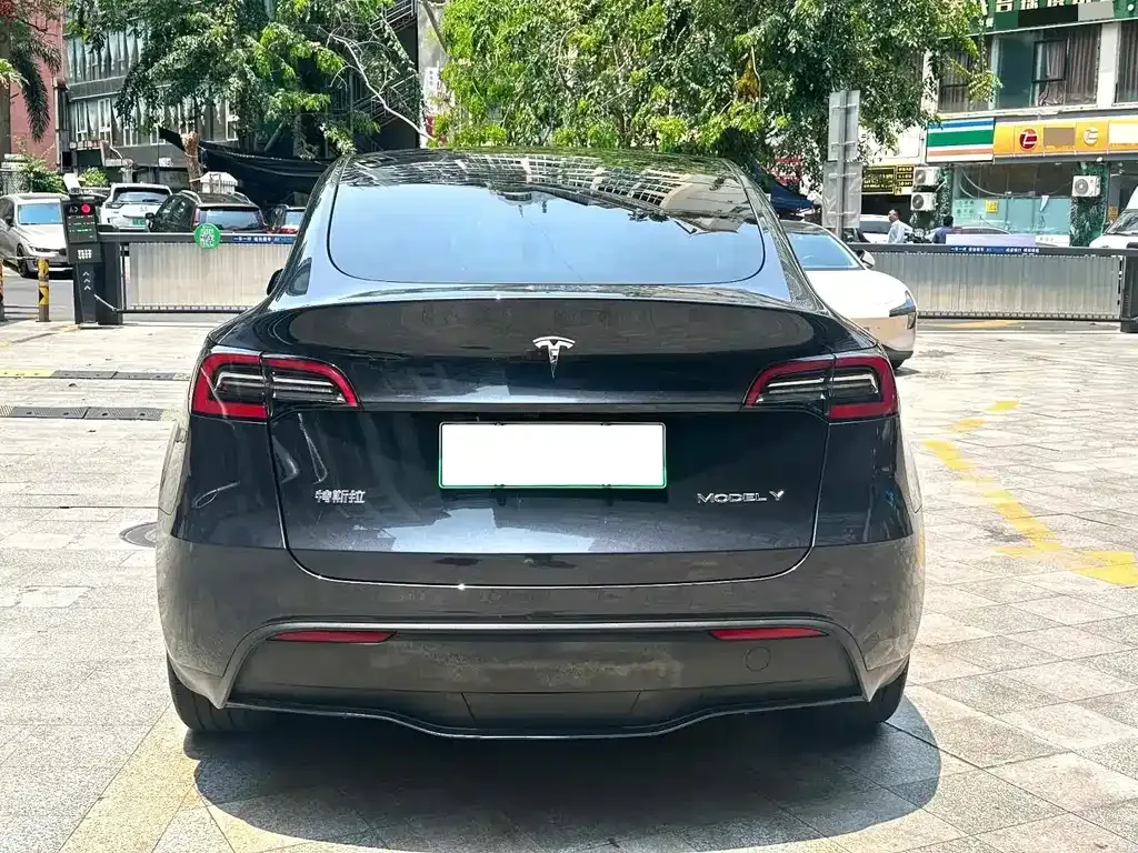 Tesla Model Y — фото 9
