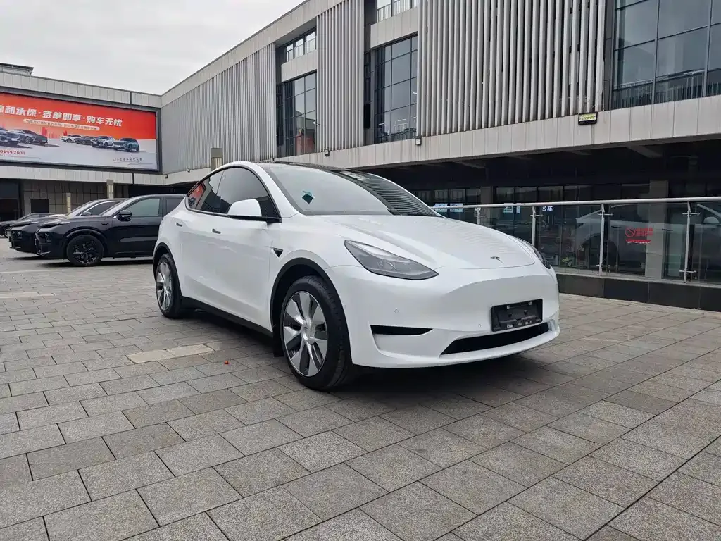 Tesla Model Y — фото 5