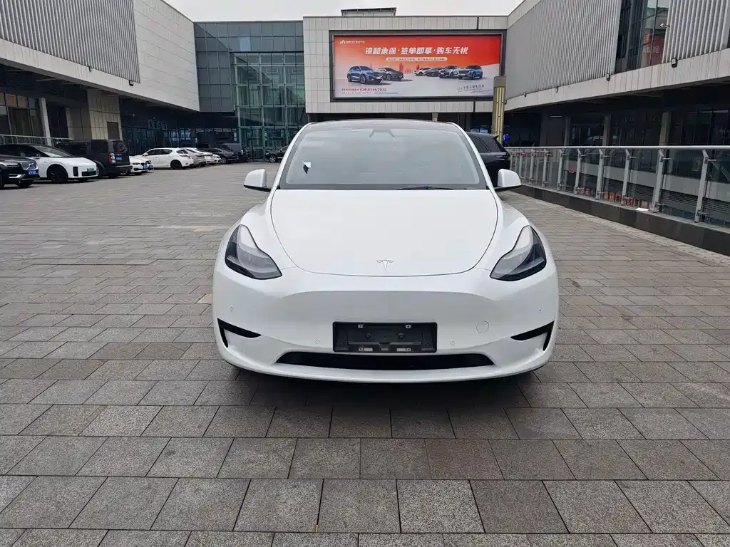 Tesla Model Y — фото 10