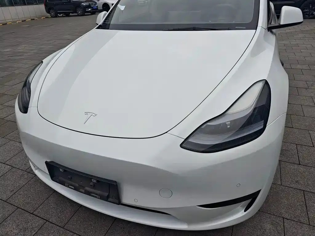 Tesla Model Y — фото 2