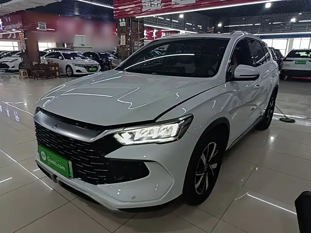 BYD Pro New Energy — фото 1