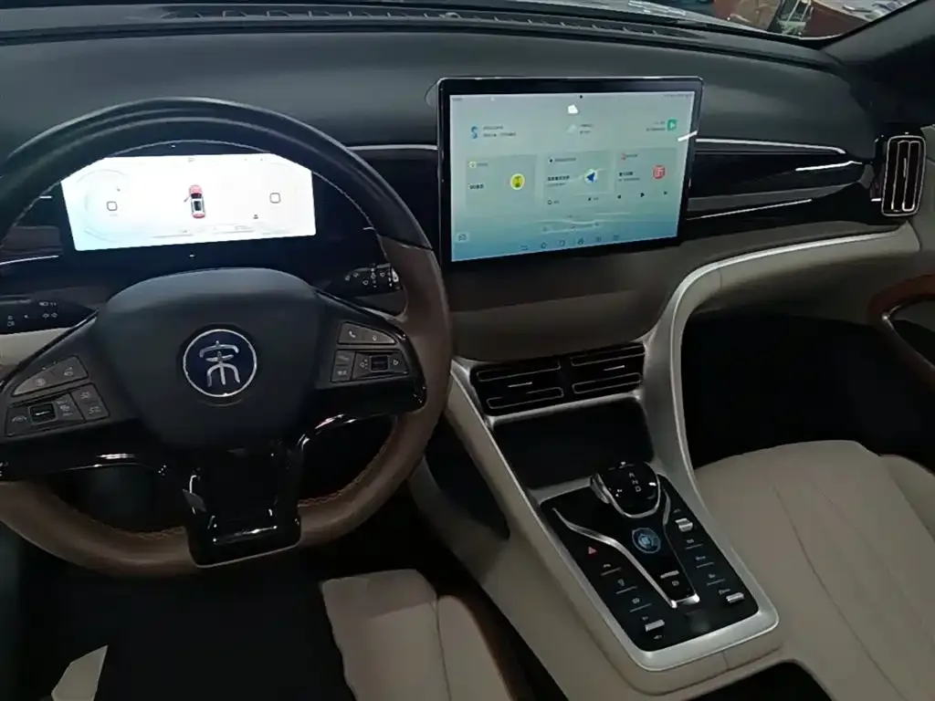 BYD Pro New Energy — фото 2