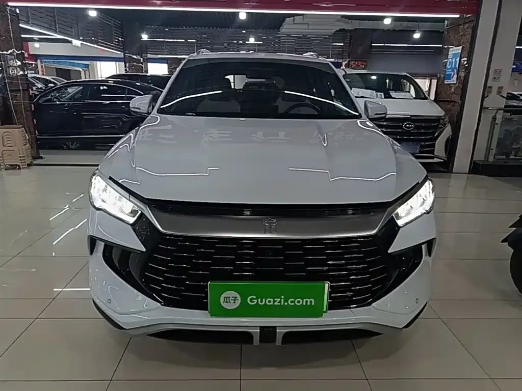 BYD Pro New Energy — фото 8