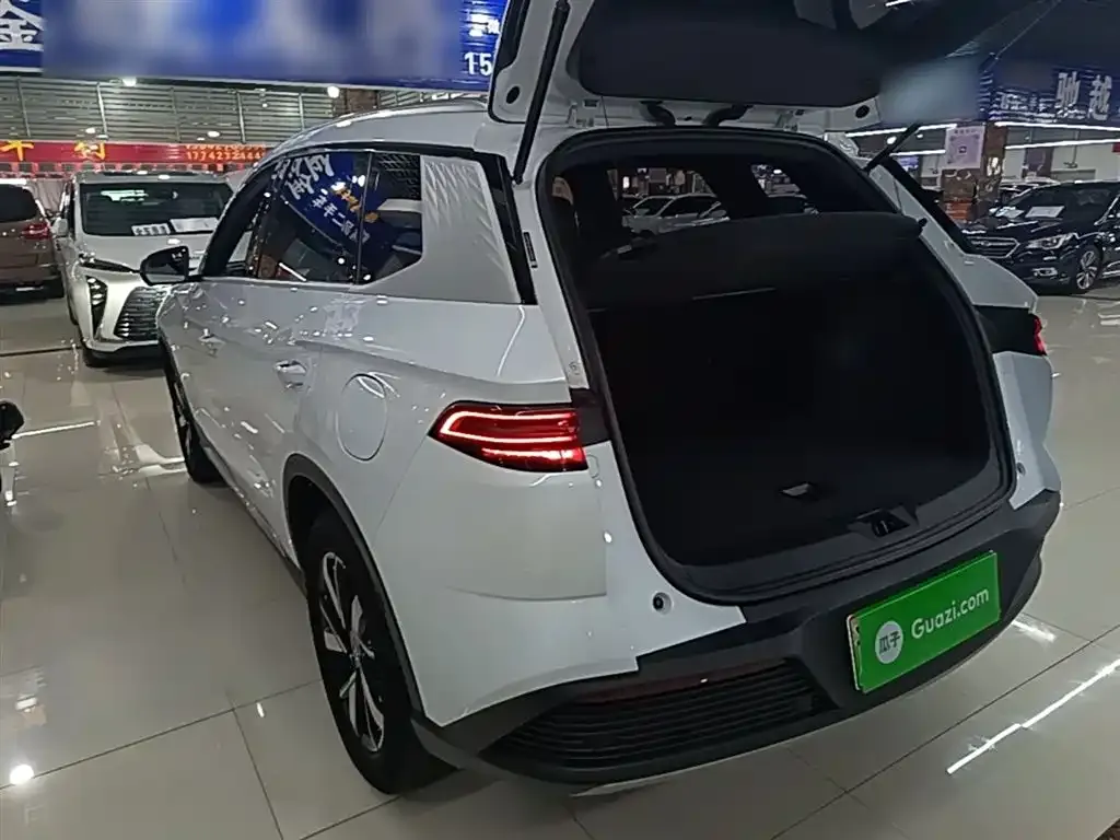 BYD Pro New Energy — фото 5