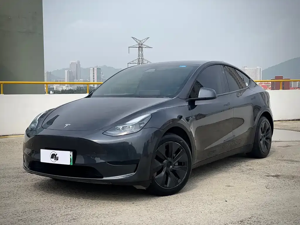 Tesla Model Y — фото 1