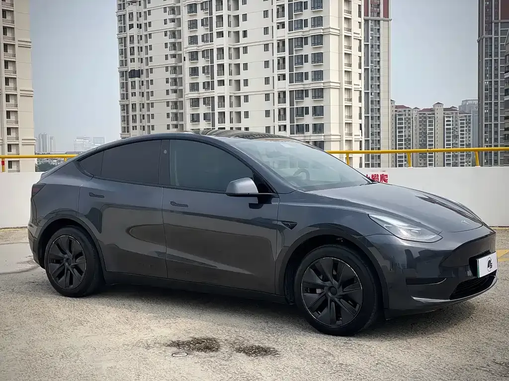 Tesla Model Y — фото 8