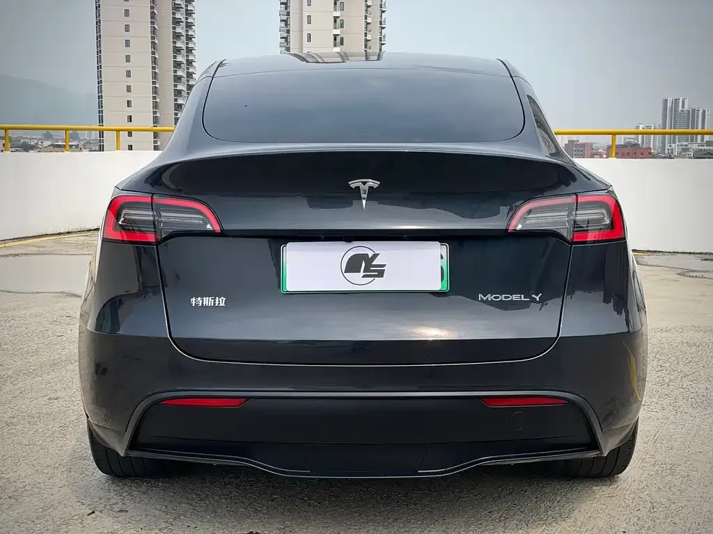 Tesla Model Y — фото 3