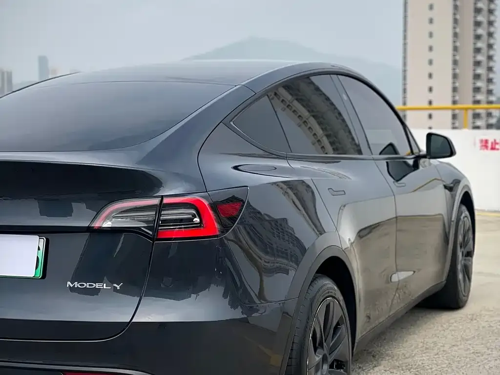 Tesla Model Y — фото 9