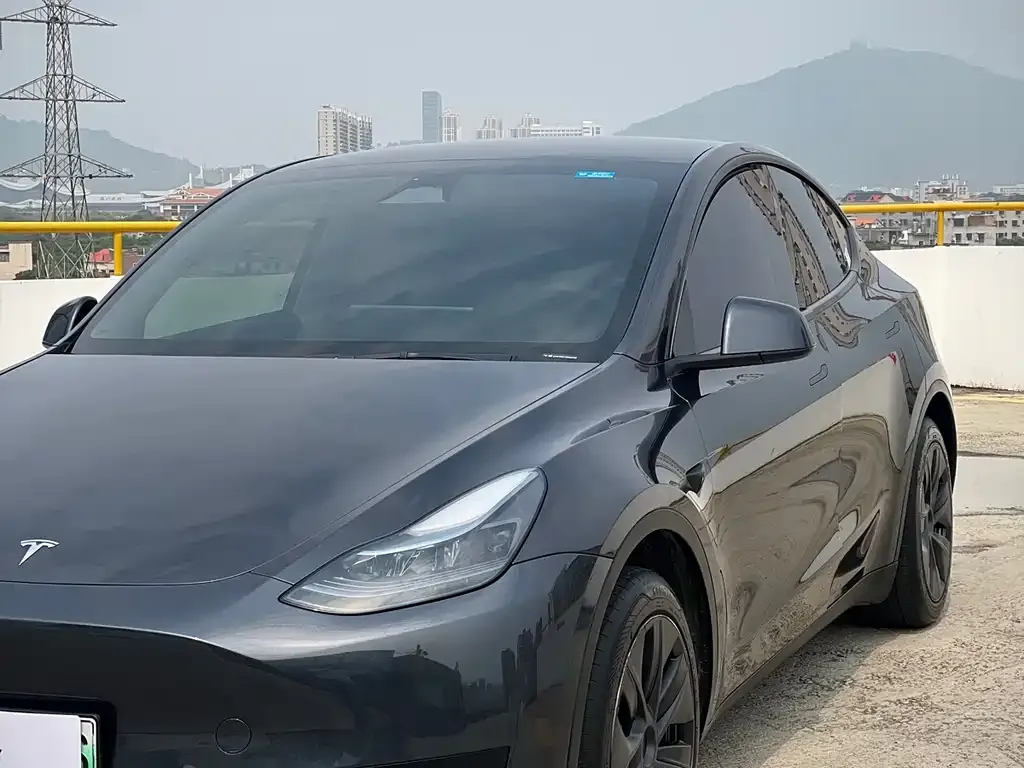 Tesla Model Y — фото 5