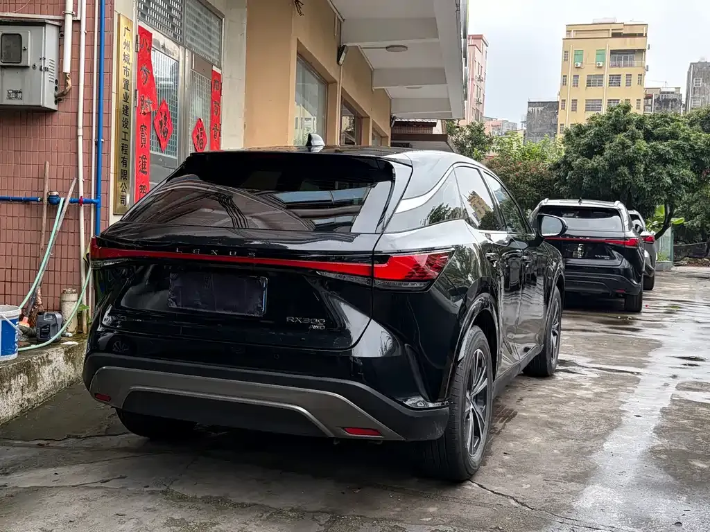 Lexus RX 2024 из CN, фото 7