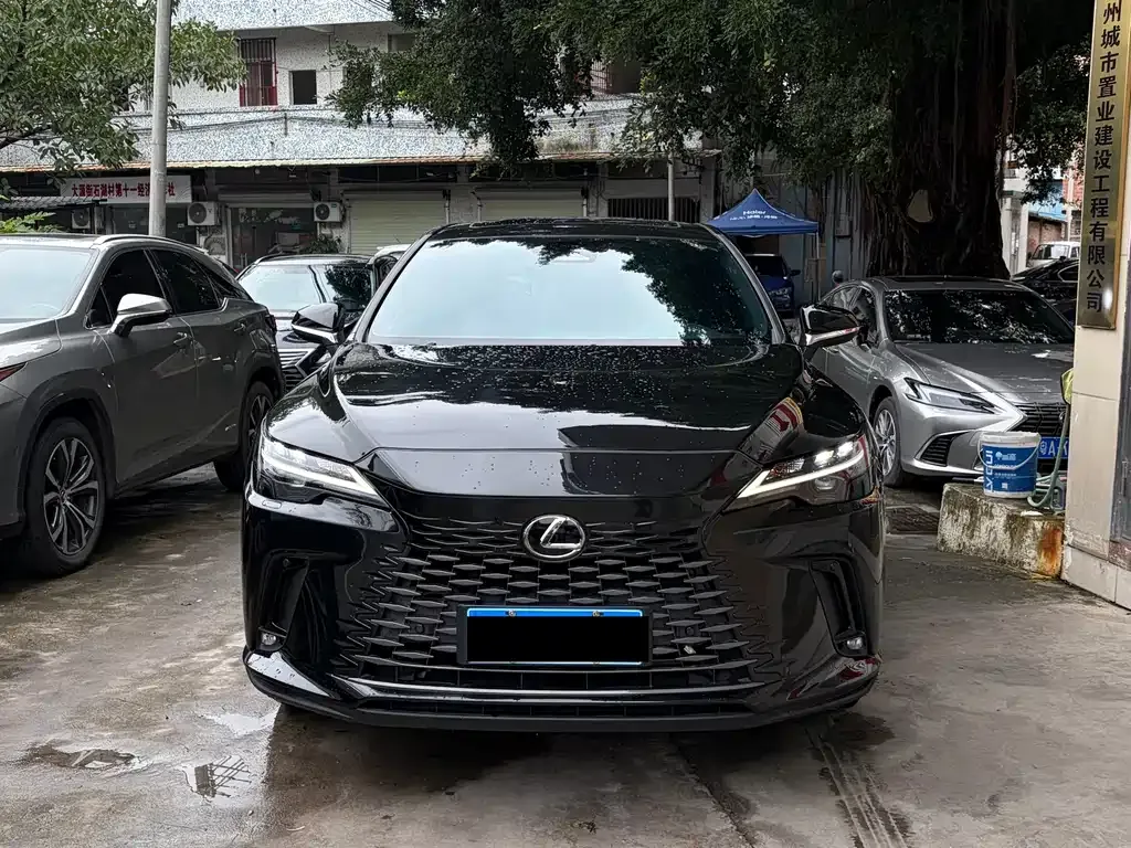 Lexus RX 2024 из CN, фото 10
